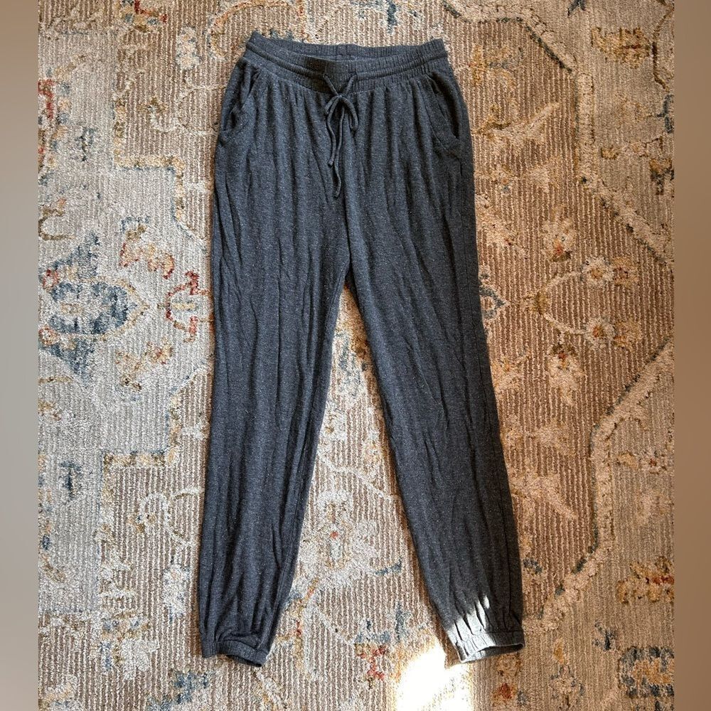 Express sparkly Gray Joggers